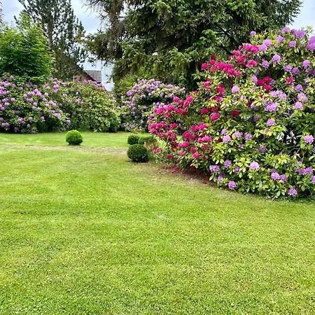 Apartmán K House 5*